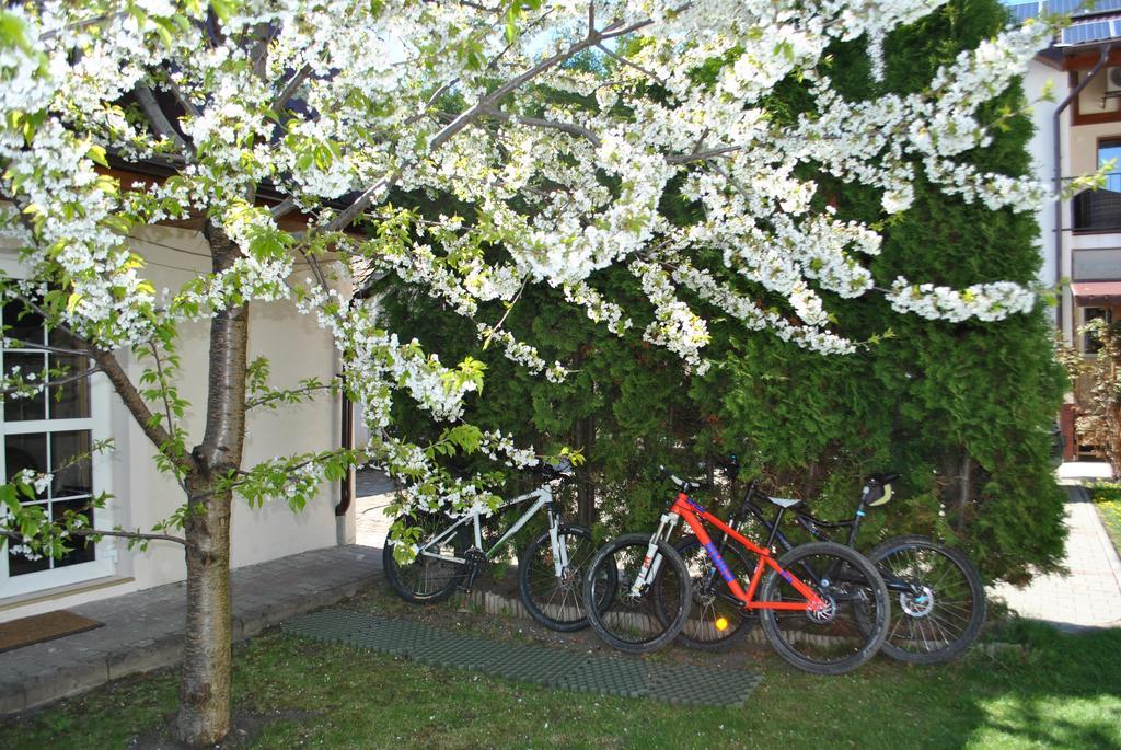Apartament Beta Apartment Bistrita  Luaran gambar
